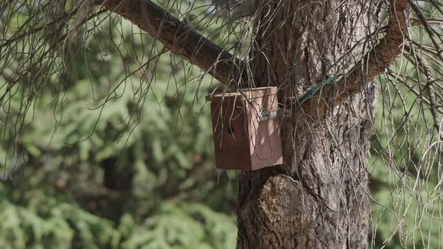 Wooden birdhouse labeled NATH mounted on tree trunk with green wire