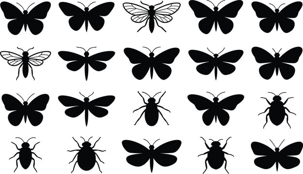 Insect silhouettes set, butterfly, moth, and beetle vector black bugs isolated on white