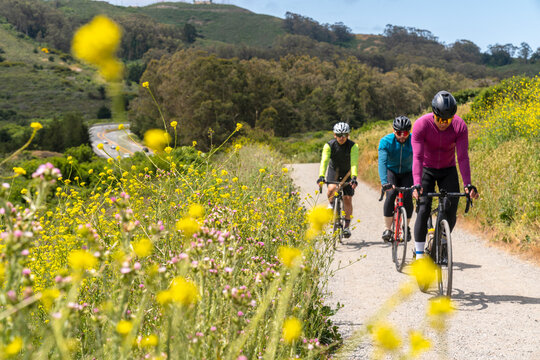 Mountain bikers and wildflowers