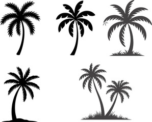 Fototapeta premium Set of vector silhouettes featuring various palm trees, perfect for tropical, summer, vacation, beach, and island themed design projects.