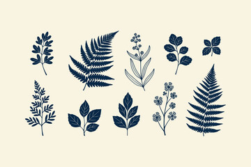 Obraz premium Collection of Hand Drawn Dark Blue Floral Elements and Fern Leaves Isolated on Neutral Background