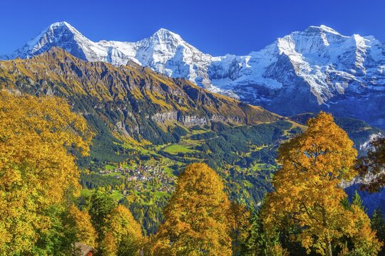 Autumn landscape in the hamlet of Sulwald with views of Wengen and Eiger 3967m, M&ouml;nch 4110m and Jungfrau 4158m, Isenfluh, Lauterbrunnental, Bernese Oberland, Canton of Bern, Switzerland