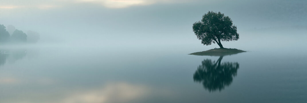 Mist swirls above still water, soft and pale. Lone tree stands on a tiny island. Its reflection mirrors perfectly in the calm. Quiet mystery lingers in the hush. Ideal for serene, contemplative