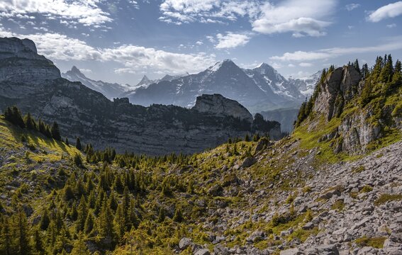 Alpine landscape, Eiger north face and M&ouml;nch, mountain peaks, Jungfrau region, Grindelwald, Bern, Switzerland