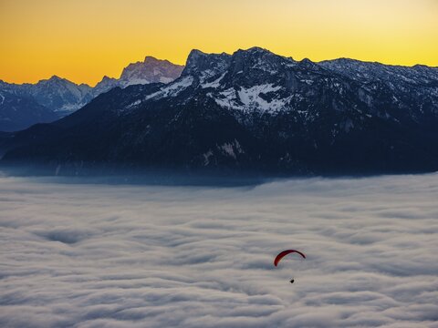 Paragliding flies over a sea of fog, behind Berchtesgaden Alps, Gaisberg, Salzburg, Salzburger Land, Austria
