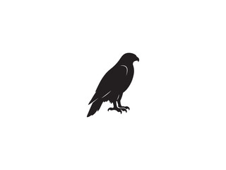 Fototapeta premium Black silhouette of a cassowary standing on a plain white background with cassowary