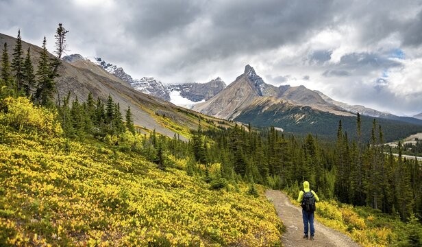 Hiker on hiking trail between autumnal bushes, view of mountain landscape and glacier in autumn, mountains Hilda Peak and Mount Athabasca, Parker Ridge, Icefields Parkway, Jasper National Park National Park, Canadian Rocky Mountains, Alberta, Canada