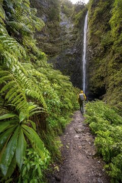 Hikers on the trail among ferns, waterfall at the back on a steep rock face, Levada do Caldeir&atilde;o Verde, Parque Florestal das Queimadas, Madeira, Portugal