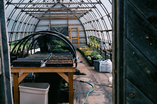 benches filled with seedlings in greenhouse on a farm
