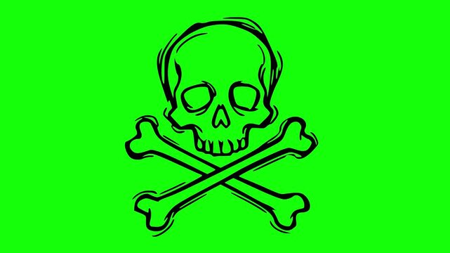 Hand drawn skull and crossbones animation with line boil effect on green chroma key background for easy keying with black fill line art