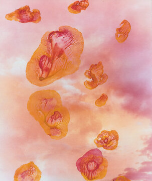 orange sky with flowers