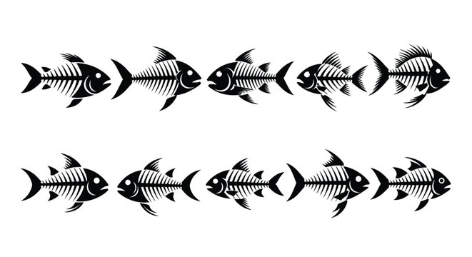 Fish Skeleton Pattern On White Background Black And White Illustration