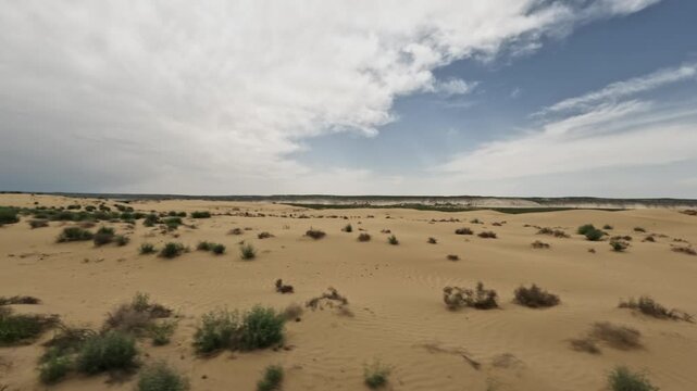 Desert landscape with sparse vegetation and rolling sand dunes under cloudy sky