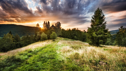 Hala Jaworowa - Beskidy © Radosław Dybała
