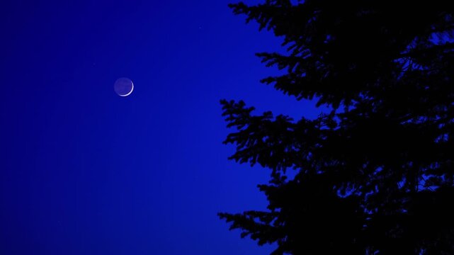 Crescent Moon, planet conjunction and landscape scenery silhouettes. Real-time twinkling stars.
