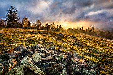 Hala Jaworowa - Beskidy © Radosław Dybała