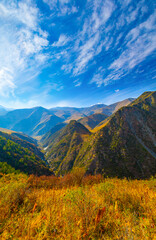 Obraz premium Golden Mountain Valley Landscape in Kyrgyzstan