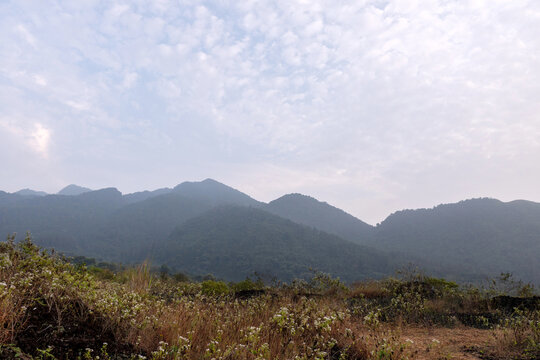 Beautiful mountain landscape view with wild yellow flowers meadow and green trees under clear sky, Guntur Mountain in Garut, Indonesia.