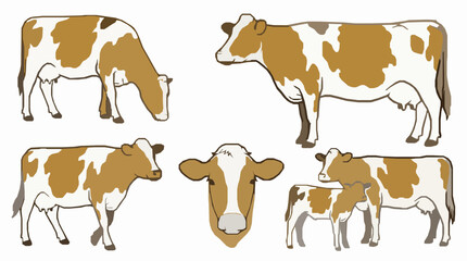 Brown spotted dairy cow and calf vector illustration set for organic farming agriculture milk production and ranching designs © Mohammad