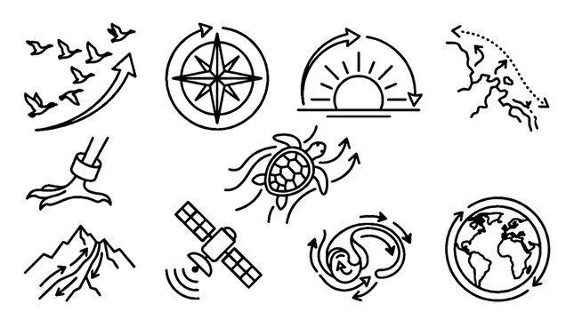 Collection of Hand Drawn Icons Representing Animal Migration and Global Navigation Concepts.