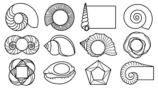 Collection of seashell line art icons and geometric frames in black and white.