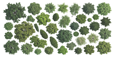 Collection of various green trees seen from above for architectural landscape design and garden planning maps © ZenVectors