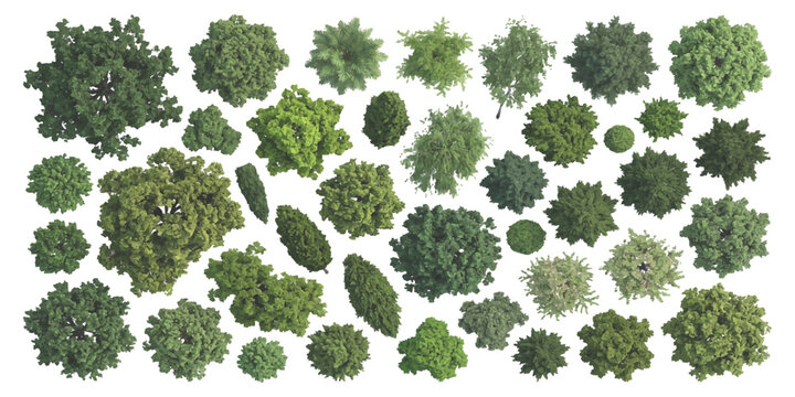 Collection of various green trees seen from above for architectural landscape design and garden planning maps