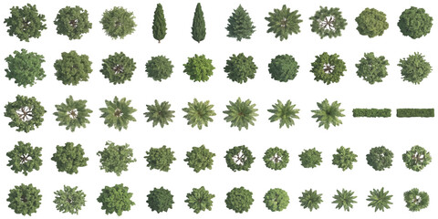 Set of top view green trees and bushes for architecture landscape design projects and site plan drawing elements © ZenVectors