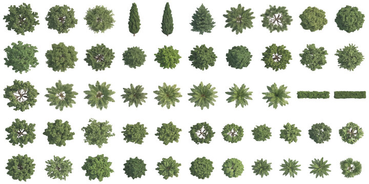 Set of top view green trees and bushes for architecture landscape design projects and site plan drawing elements