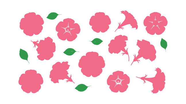 The lovely petunia symbols

