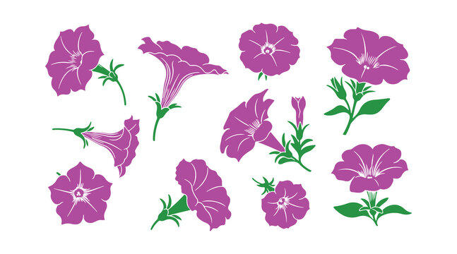 The sweet petunia icons
