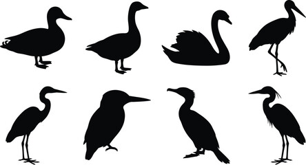 Obraz premium Silhouette Collection of Waterfowl and Wading Birds Including Duck, Swan, and Heron