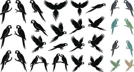Silhouettes of flying and perched exotic macaw parrots isolated on a clean white background © MstRina