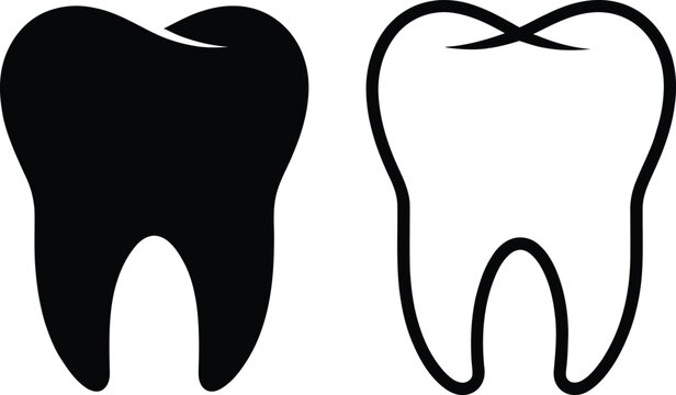 Black and white molar and premolar teeth illustration