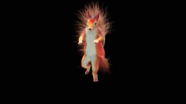 Realistic dancing squirrel performing rumba dance animation with alpha channel transparent background