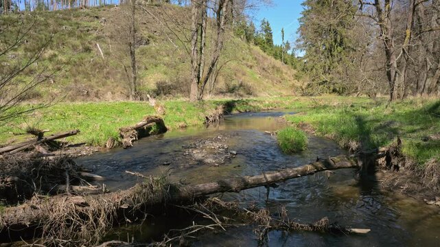 relaxing view on a flowing creek with nature sounds