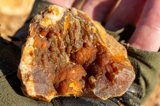 Close-up of a raw botryoidal chalcedony geode held in a hand, showcasing unique bubbly texture and warm amber earth tones found outdoors in natural mineral discovery