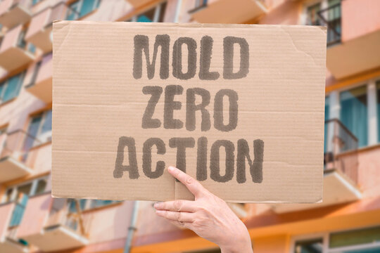 "Mold zero action" No response to dangerous fungal growth. INACTION. DANGER. RESPONSE. AUTHORITY. ACCOUNTABILITY.