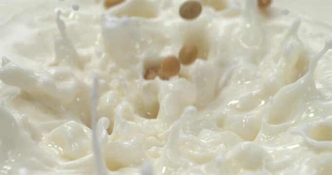 Soybeans falling into milk with splash in super slow motion 1000 fps