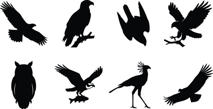 Black silhouette bird of prey vector icon set featuring flying eagle hunting osprey and owl