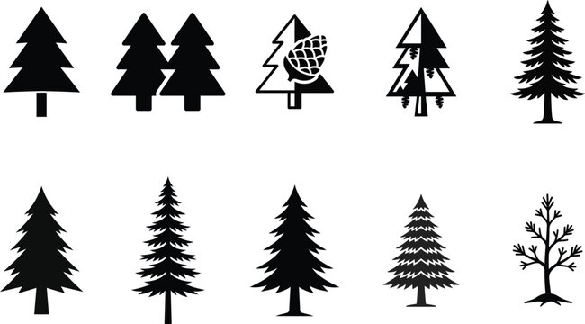 Collection of pine tree silhouettes for design and decoration