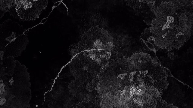 Abstract dark black marble texture with white veins flowing motion background.