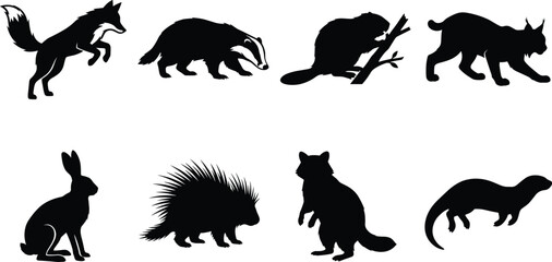 Small forest wildlife silhouette vector set featuring fox badger beaver lynx rabbit porcupine raccoon and otter © MstAshida