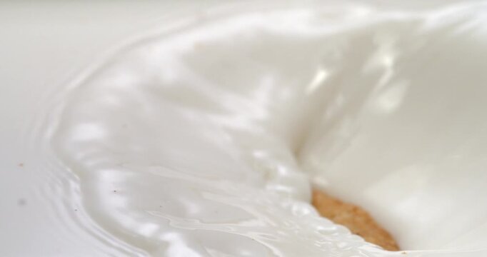 Chip cookie splashing into milk in super slow motion 1000 fps