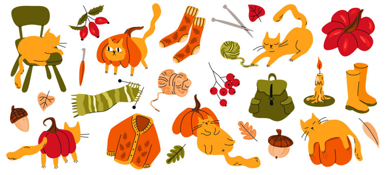 Autumn collection with cats, pumpkins, sweater, scarf, backpack, socks and seasonal accessories. Isolated vegetables, kittens and home decor on white background. Set of hand drawn vector illustrations