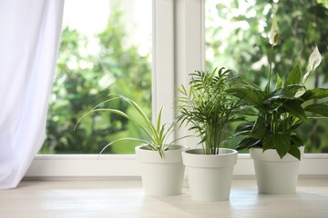 Fototapeta premium Potted houseplants on white wooden window sill indoors, space for text