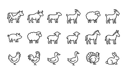 wild animals collection © Rina