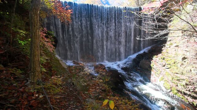 秋の武石川渓谷のダム