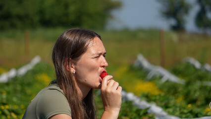 Profile portrait of a young female farmer tasting a fresh ripe strawberry right on a sunny plantation field. © OlTarakanov