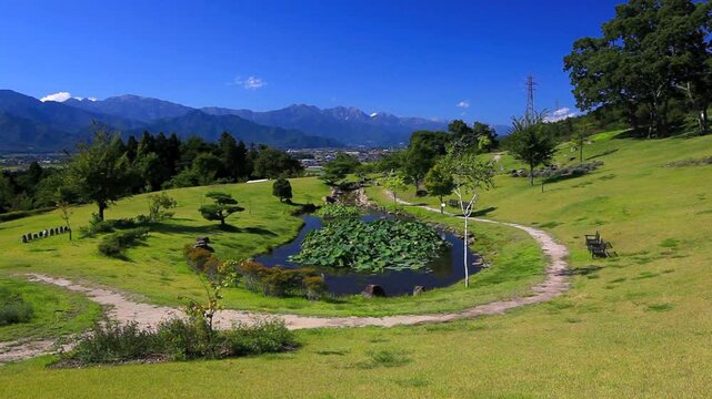 ハスの池と北アルプス